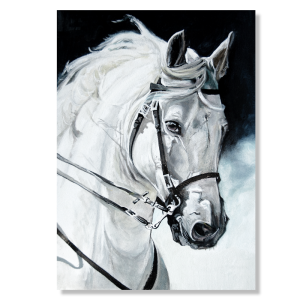 BDL119 - Πίνακας λευκό άλογο