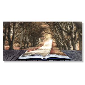 BDL121 - Πίνακας βιβλίο στο δάσος