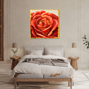 M897 - Πίνακας πορτοκαλί τριαντάφυλλο