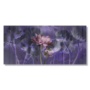 HK0681 - Πίνακας ροζ λουλούδι