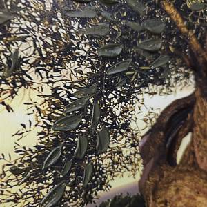 HK0138 - Πίνακας ελιά