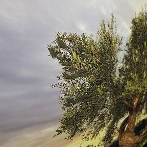 HK0138 - Πίνακας ελιά