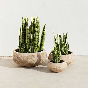 PORTER ΚΑΣΠΩ SET 3ΤΜΧ 40x40x19cm TERRACOTTA ΜΠΕΖ