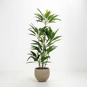 SCILLA ΓΛΑΣΤΡΑ SET 2ΤΜΧ 40x40x34cm ΤΣΙΜΕΝΤΟ ΚΑΦΕ ΑΝΟΙΧΤΟ