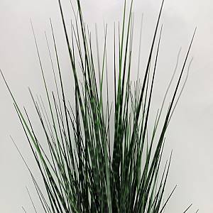 DARK PURE GRASS ΦΥΤΟ ΤΕΧΝΗΤΟ ΣΕ ΓΛΑΣΤΡΑ 90cm PVC ΠΡΑΣΙΝΟ ΣΚΟΥΡΟ