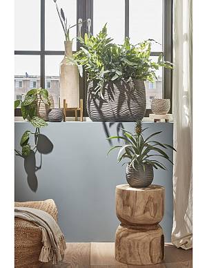 Κασπώ κεραμ.Jack εκρού 17Χ15,5