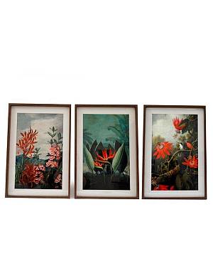 Κάδρο madagascar 3σχ. 40Χ60