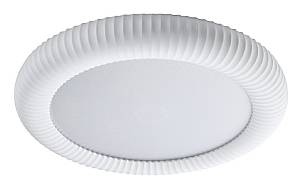 42054-White
