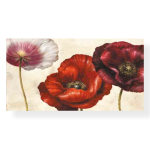 M213 - Πίνακας παπαρούνες