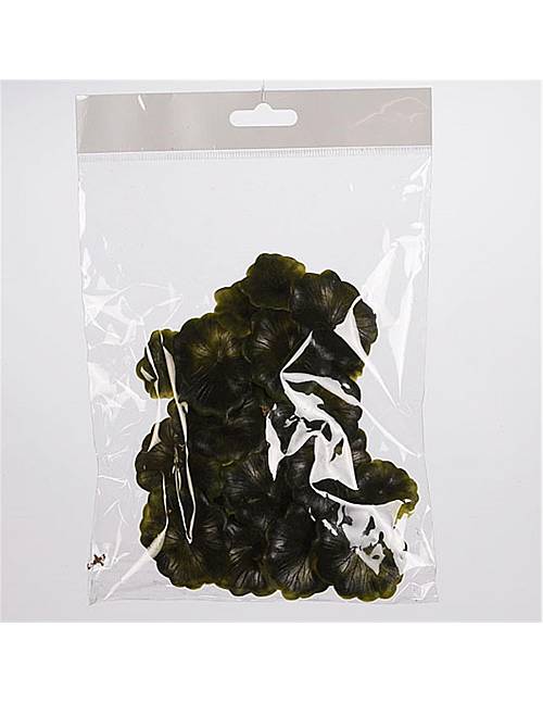 Φύλλα waterplant επιπλέοντα χρ.πράσινο