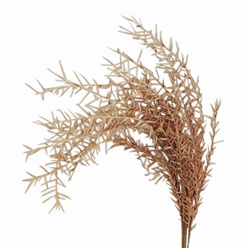 ΚΛΑΔΙ ΜΕ ΛΟΥΛΟΥΔΙΑ ΚΑΦΕ-ΜΠΕΖ