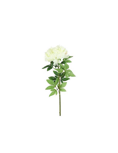 Κλαδί παιώνια λευκή Η73cm