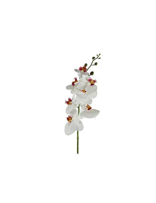 Ορχιδέα κλαδί  λευκή Η83cm