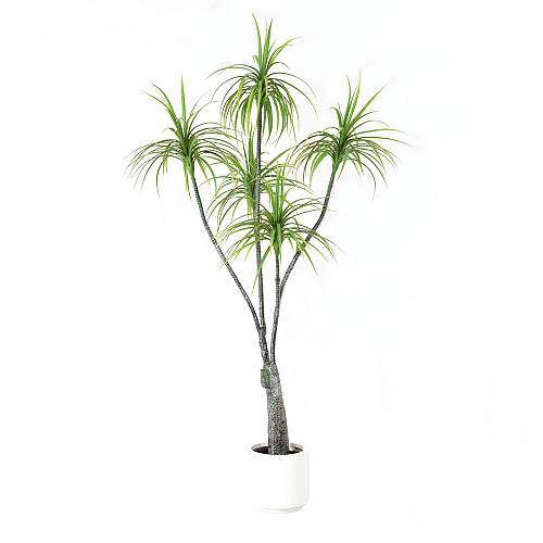 HEMLOCK ΤΕΧΝΗΤΟ ΦΥΤΟ ΣΕ ΓΛΑΣΤΡΑ PE ΠΡΑΣΙΝΟ H200cm