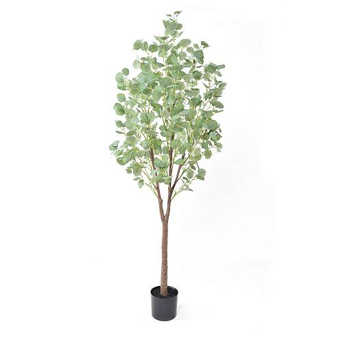 SILVER DOLLAR EUCALYPTUS ΤΕΧΝΗΤΟ ΦΥΤΟ ΣΕ ΓΛΑΣΤΡΑ PE ΜΕΤΑΞΩΤΟ ΥΦΑΣΜΑ ΠΡΑΣΙΝΟ H180cm