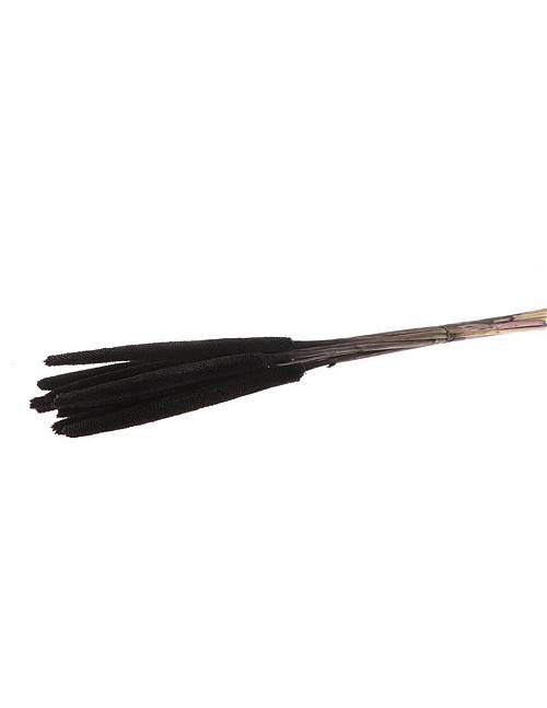 Babala μαύρο/set 10τμχ Η65cm