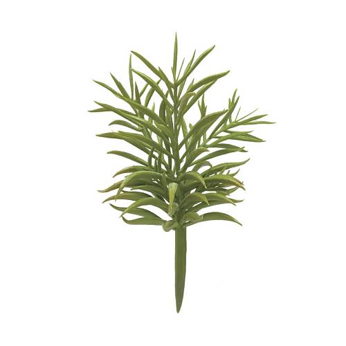 ΡΙΖΑ ΠΑΧΥΦΥΤΟ ΚΡΑΣΟΥΛΑ ΠΡΑΣΙΝΟ - Υ22cm 24/144ΚΙΒ