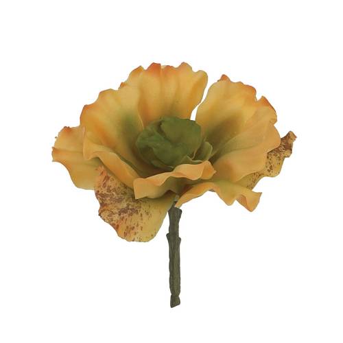 ΡΙΖΑ ΠΑΧΥΦΥΤΟ ΜΑΡΟΥΛΙ ΧΩΝΕΥΤΟ ΠΟΡΤΟΚΑΛΙ/ΠΡΑΣΙΝΟ - Y18cm 24/288ΚIB