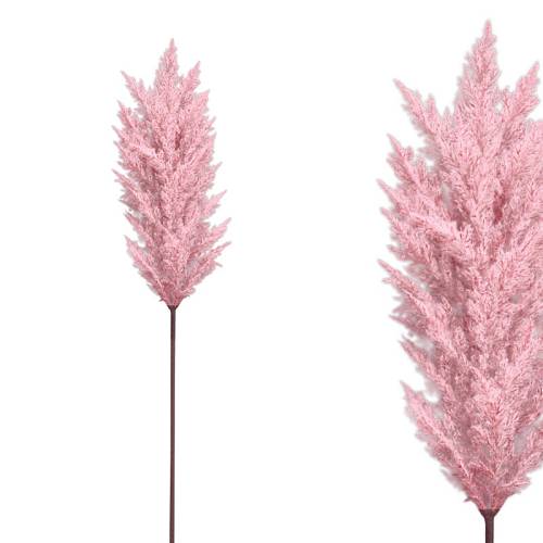 ΚΛΑΔΙ ΠΑΜΠΑΣ ΚΟΡΤΑΔΕΡΙΑ ΡΟΖ - Y86cm 12/144ΚIB