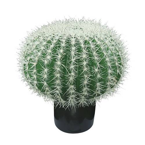 ΤΕΧΝΗΤΟΣ ΚΑΚΤΟΣ ΜΠΑΛΑ-ΕΧΙΝΟΚΑΚΤΟΣ ΣΕ ΓΛΑΣΤΡΑ - Υ55cm 2/ΚΙΒ