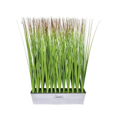 ΦΥΤΑ ΓΚΡΑΣΣ ΣΕ ΜΕΤΑΛΛΙΚΗ ΖΑΡΝΤΙΝΙΕΡΑ - Υ69cm 2/8KIB