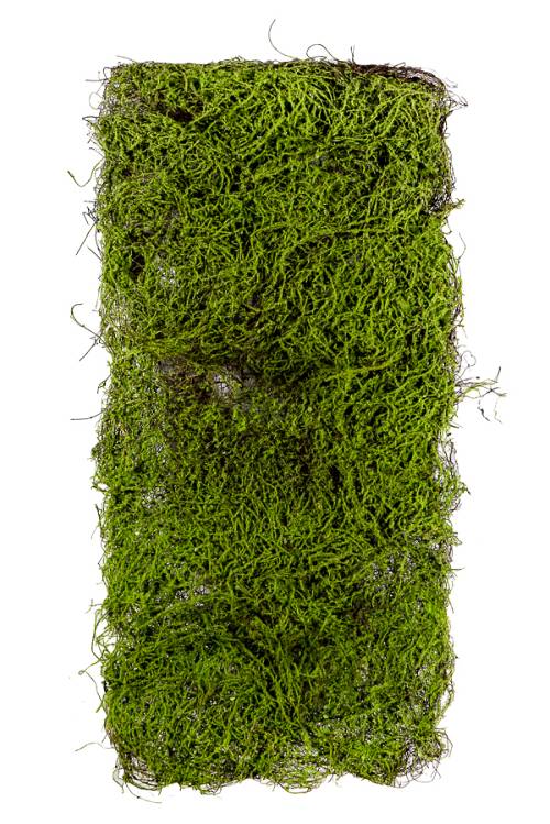 ΠΡΑΣΙΝΑΔΑ ΓΙΑ ΝΤΕΚΟΡ