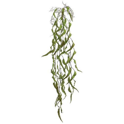 ΡΙΖΑ ΚΡΕΜΑΣΤΗ ΧΑΠΕΡΖΙΑ ΚΑΦΕ/ΠΡΑΣΙΝΟ - Υ136cm 36/144ΚΙΒ