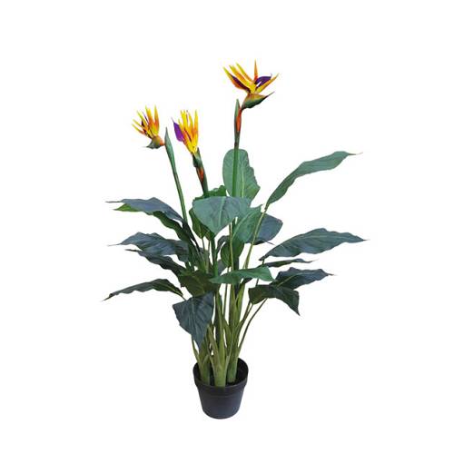 ΔΕΝΤΡΟ ΠΟΥΛΙ ΤΟΥ ΠΑΡΑΔΕΙΣΟΥ ΣΕ ΓΛΑΣΤΡΑ - Υ96cm 4/ΚΙΒ