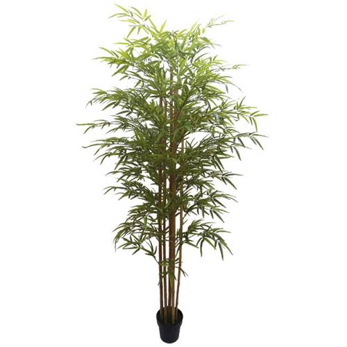 ΔΕΝΤΡΟ ΜΠΑΜΠΟΥ REAL TOUCH ΣΕ ΓΛΑΣΤΡΑ - Y220cm 2/KIB