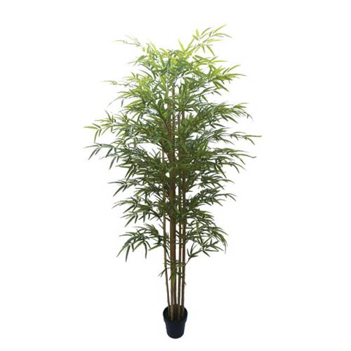 ΔΕΝΤΡΟ ΜΠΑΜΠΟΥ REAL TOUCH ΣΕ ΓΛΑΣΤΡΑ Y180cm 2/ΚΙΒ