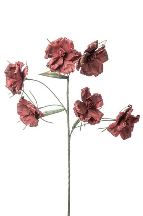 ΛΟΥΛΟΥΔΙ 5ΑΠΛΟ ΚΟΚΚΙΝΟ