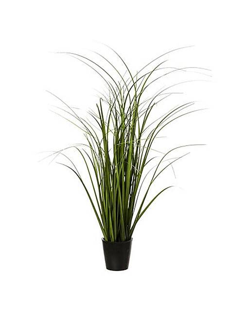 Φυτό σε κασπώ  Φ9,5Η58cm