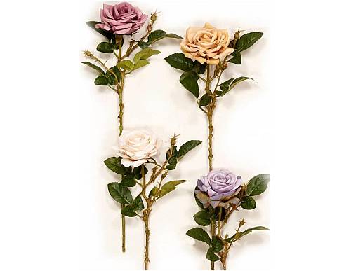 ΚΛΑΔΙ ΤΡΙΑΝΤΑΦΥΛΛΟ 79cm