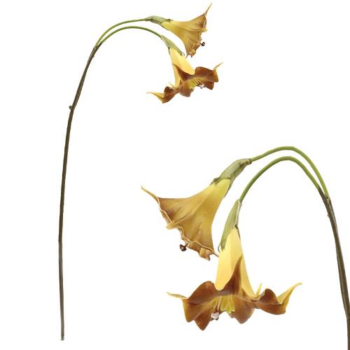 ΔΙΑΚΟΣΜΗΤΙΚΟ ΚΛΑΔΙ ΛΙΛΙΟΥΜ ΜΕ 2 ΑΝΘΗ REAL TOUCH ΚΙΤΡΙΝΟ - 20x14x98cm 12/72ΚΙΒ