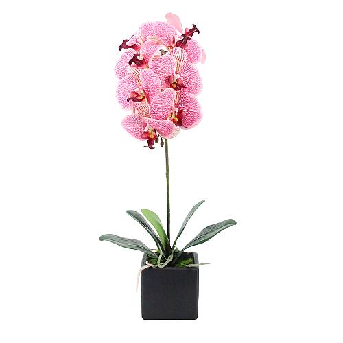 ORCHIDEA ΛΟΥΛΟΥΔΙ ΤΕΧΝΗΤΟ ΣΕ ΓΛΑΣΤΡΑ 63cm PEVA ΡΟΖ ΚΙΤΡΙΝΟ ΚΕΡΑΜΙΚΟ