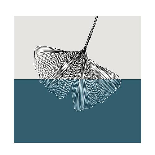 FALL ΠΙΝΑΚΑΣ ΔΙΑΚΟΣΜΗΣΗΣ 40x40x2cm ΚΑΜΒΑΣ ΠΕΤΡΟΛ ΛΕΥΚΟ ΞΥΛΟ ΜΑΥΡΟ