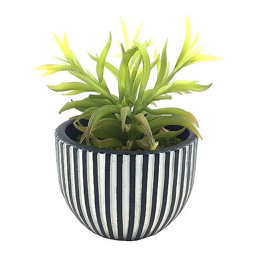 LAKHSMI 3 ΦΥΤΟ ΤΕΧΝΗΤΟ ΣΕ ΚΑΣΠΩ 13x13x18.5cm POLYRESIN ΜΑΥΡΟ ΛΕΥΚΟ ΠΡΑΣΙΝΟ