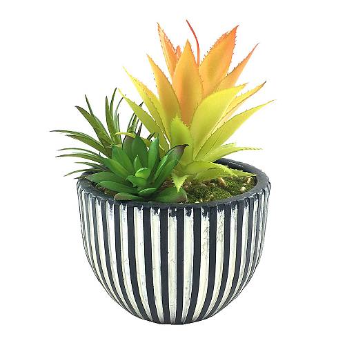 LAKHSMI 4 ΦΥΤΟ ΤΕΧΝΗΤΟ ΣΕ ΚΑΣΠΩ 13x13x18.5cm POLYRESIN ΜΑΥΡΟ ΛΕΥΚΟ ΠΡΑΣΙΝΟ