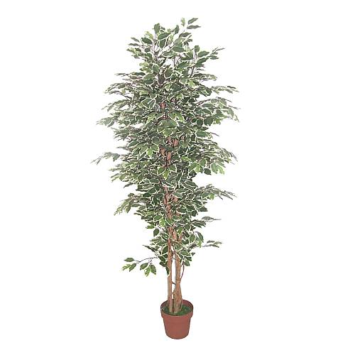 FICUS ΔΕΝΤΡΟ ΤΕΧΝΗΤΟ ΣΕ ΓΛΑΣΤΡΑ 170cm POLYESTER ΠΡΑΣΙΝΟ PE/PP