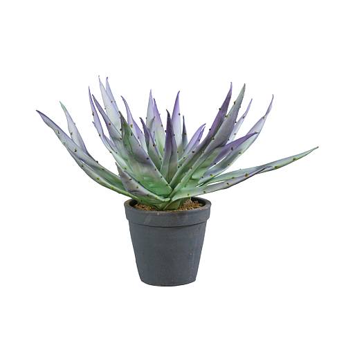 ALOE MAUVE ΦΥΤΟ ΤΕΧΝΗΤΟ ΣΕ ΓΛΑΣΤΡΑ 32cm EVA FOAM ΜΩΒ ΠΡΑΣΙΝΟ ΚΕΡΑΜΙΚΟ ΜΑΥΡΟ