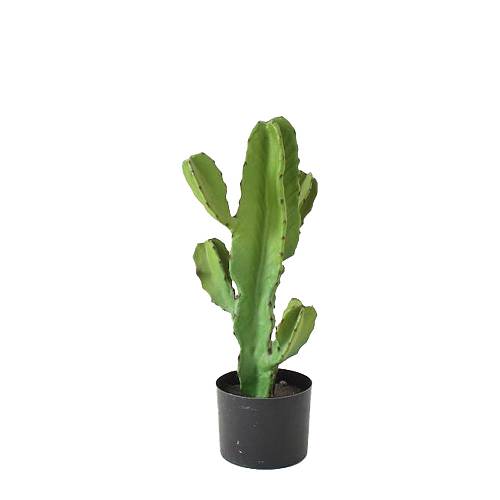 CANDELABRA CACTUS ΦΥΤΟ ΤΕΧΝΗΤΟ ΣΕ ΓΛΑΣΤΡΑ 55cm PU ΠΡΑΣΙΝΟ