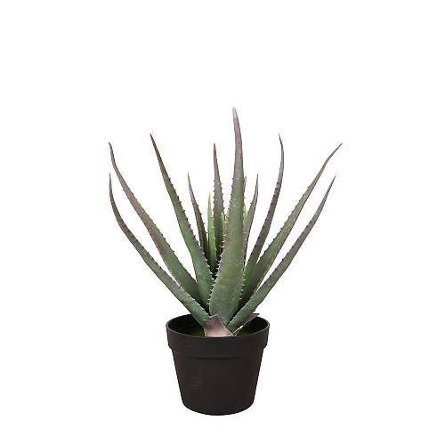 ALOE ΦΥΤΟ ΤΕΧΝΗΤΟ ΣΕ ΓΛΑΣΤΡΑ 52cm PVC ΠΡΑΣΙΝΟ ΜΑΥΡΟ ΤΣΙΜΕΝΤΟ