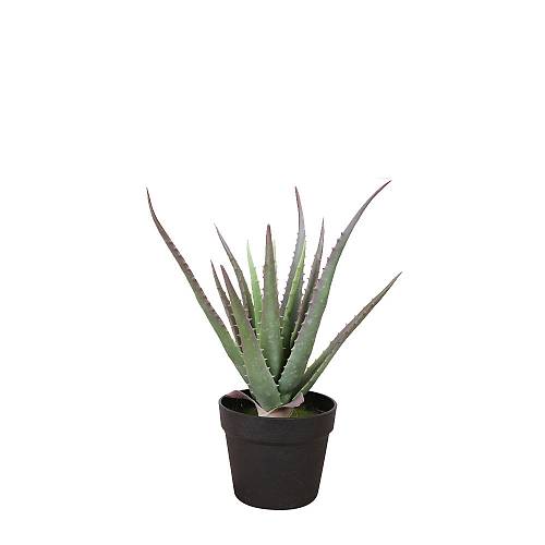 ALOE ΦΥΤΟ ΤΕΧΝΗΤΟ ΣΕ ΓΛΑΣΤΡΑ 43cm PVC ΠΡΑΣΙΝΟ ΜΑΥΡΟ ΤΣΙΜΕΝΤΟ