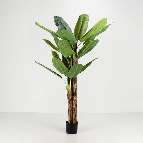 BANANA ΔΕΝΤΡΟ ΤΕΧΝΗΤΟ ΣΕ ΓΛΑΣΤΡΑ 200cm PVC ΠΡΑΣΙΝΟ ΜΑΥΡΟ ΤΣΙΜΕΝΤΟ