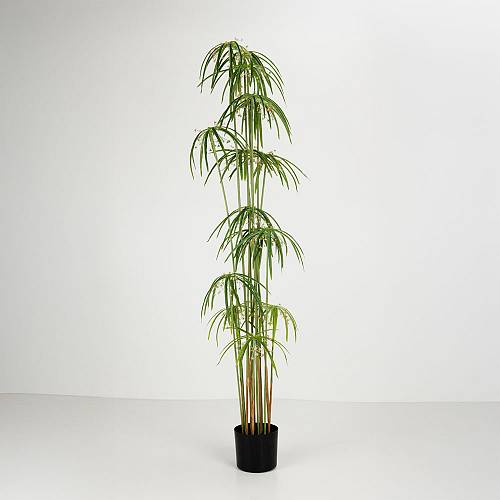 WINDMILL ΔΕΝΤΡΟ ΤΕΧΝΗΤΟ ΣΕ ΓΛΑΣΤΡΑ 160cm PVC ΠΡΑΣΙΝΟ ΜΑΥΡΟ ΤΣΙΜΕΝΤΟ