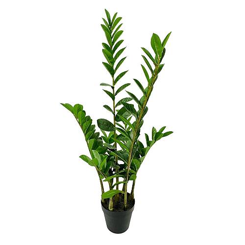 ZAMIA ΦΥΤΟ ΤΕΧΝΗΤΟ ΣΕ ΓΛΑΣΤΡΑ 95cm ΥΦΑΣΜΑ ΠΡΑΣΙΝΟ PVC