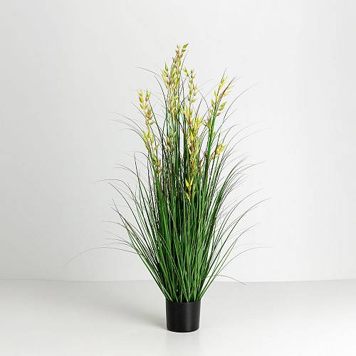OAT GRASS ΦΥΤΟ ΤΕΧΝΗΤΟ ΣΕ ΓΛΑΣΤΡΑ 120cm PVC ΠΡΑΣΙΝΟ