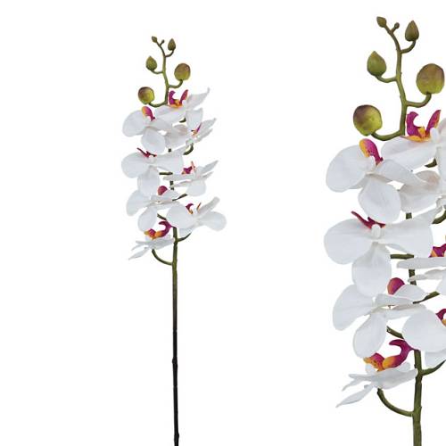 ΚΛΑΔΙ ΦΑΝΕΛΟΨ ΣΑΜΠΑΝΙ Υ76cm.12/144KIB