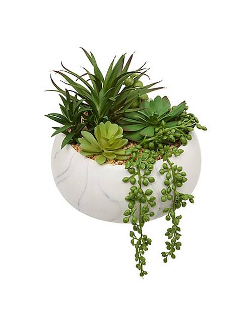 Παχύφυτα σε λευκό κεραμ.κασπώ 21 x 18 x 21 cm