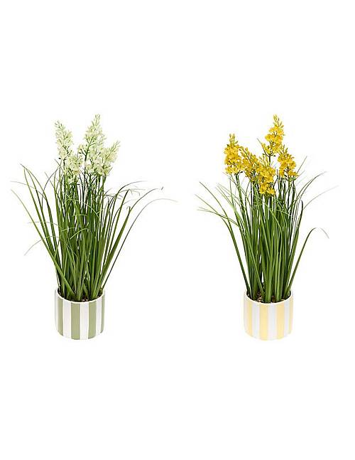 Φυτό κίτρινα/λευκά λούδια σε κασπώ 2χρώμ.30x47cm